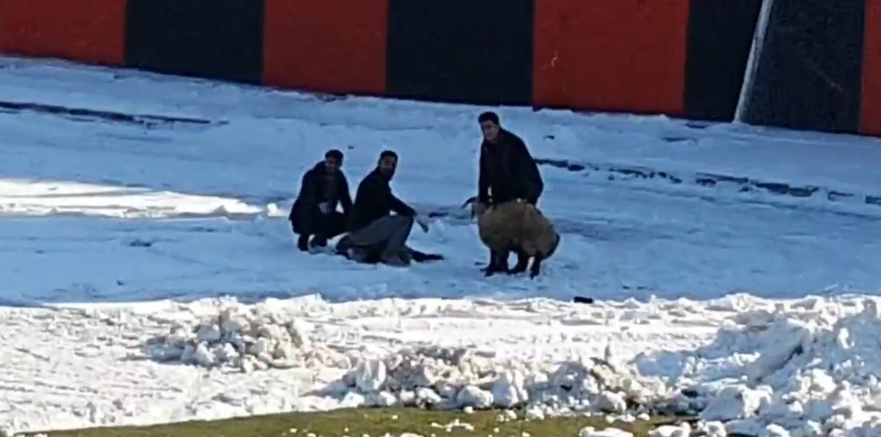 Vanspor-Karacabey maçında kale arkasında yaşananları görenler şok oldu: Sıra dışı olay  - 4. Foto