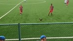 Siirt’te oynanan maçta bahçeden kaçan horoz sahaya girdi 