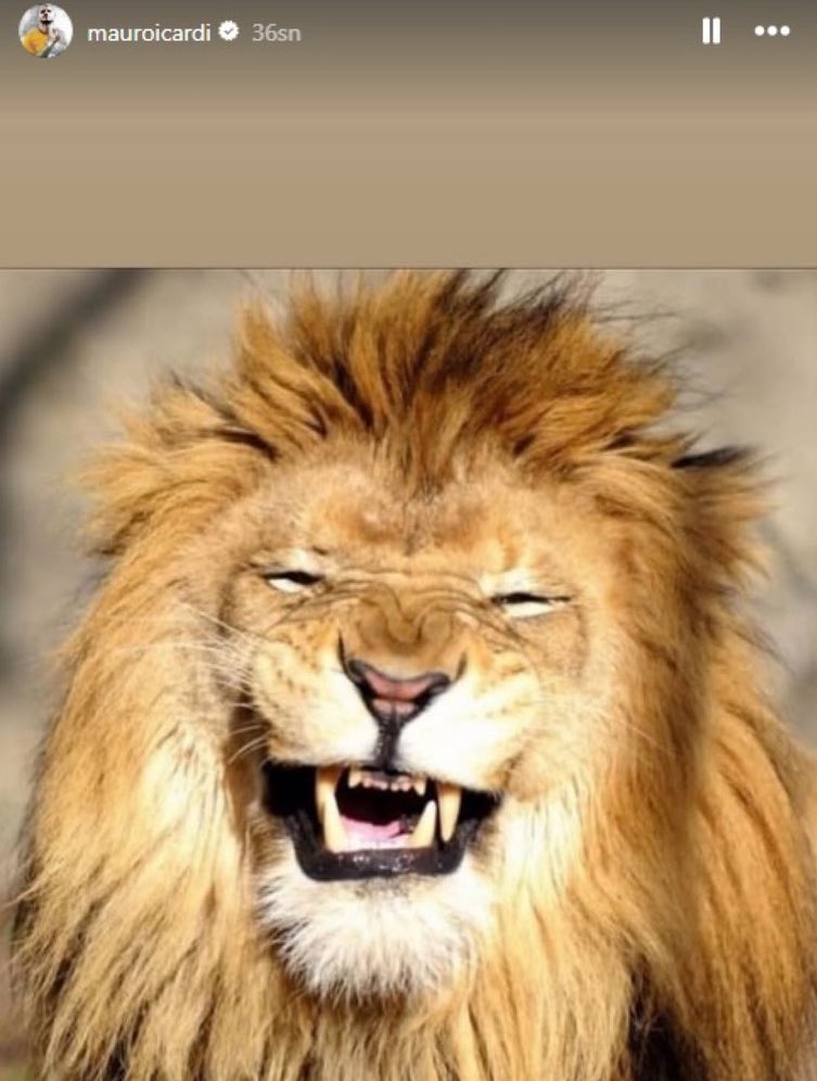 Mauro Icardi on‍ the field.