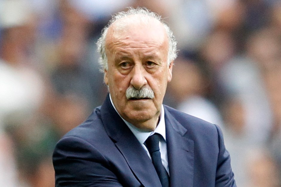 Vicente Del Bosque, İspanya Futbol Federasyonunu denetleyecek