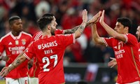 UEFA Avrupa Ligi | Marsilya - Benfica maçı ne zaman, saat kaçta ve hangi kanaldan canlı yayınlanacak?