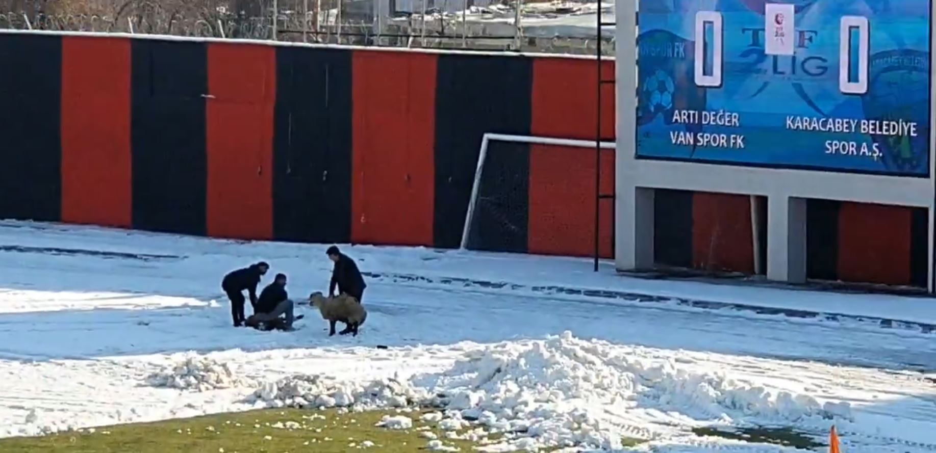 Vanspor-Karacabey maçında kale arkasında yaşananları görenler şok oldu: Sıra dışı olay  - 3. Foto