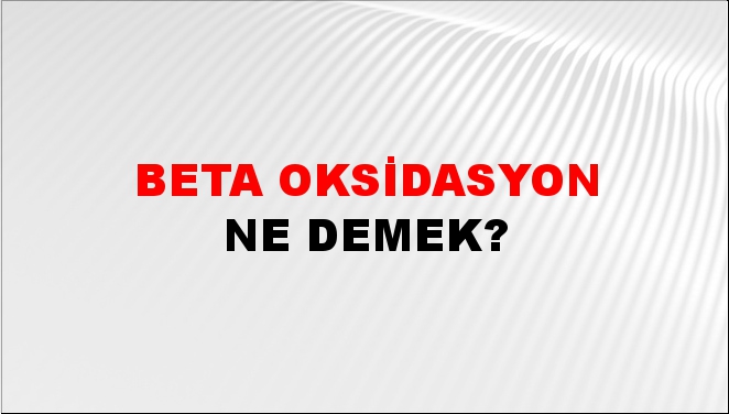 Beta Oksidasyon 