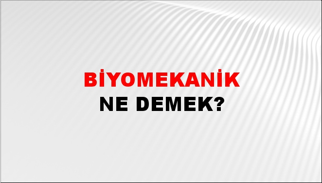 Biyomekanik 