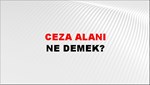 Ceza Alanı 