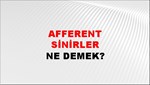 Afferent Sinirler 