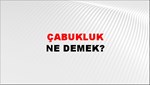 Çabukluk 