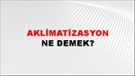 Aklimatizasyon 