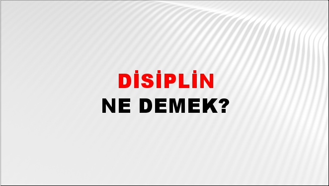 Disiplin 