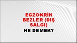 Egzokrin Bezler (Dış Salgı) 