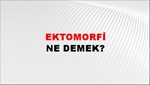 Ektomorfi 