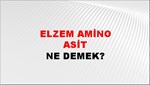 Elzem Amino Asit 