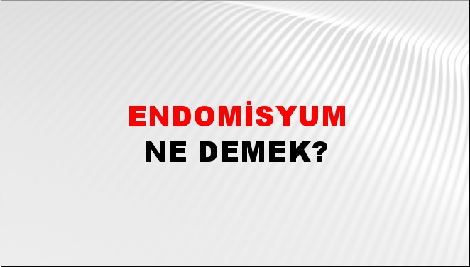 Endomisyum 