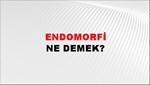 Endomorfi 