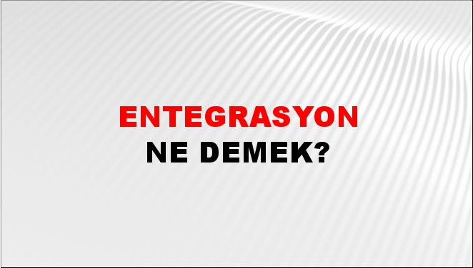 Entegrasyon 