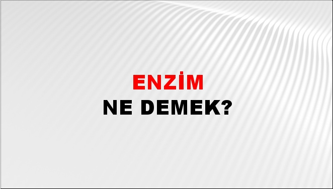 Enzim 