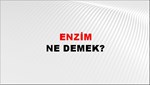 Enzim 