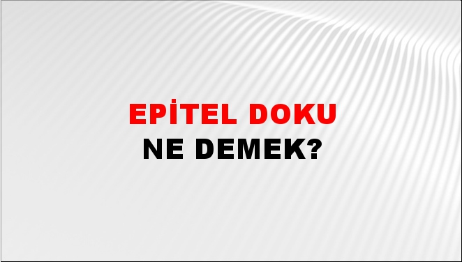 Epitel Doku 