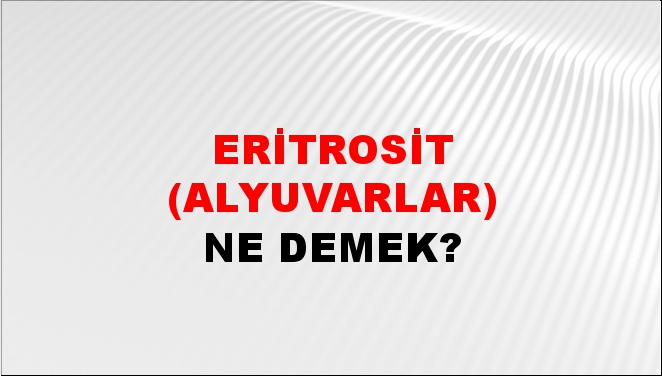 Eritrosit (Alyuvarlar) 