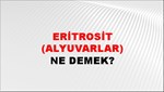 Eritrosit (Alyuvarlar) 