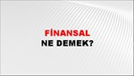 Finansal 