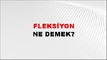 Fleksiyon 