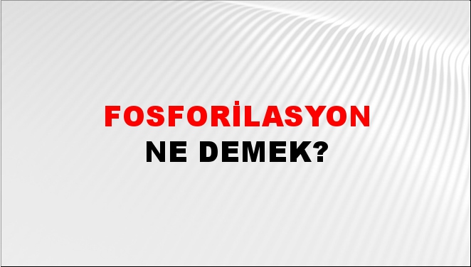 Fosforilasyon 