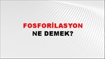 Fosforilasyon 