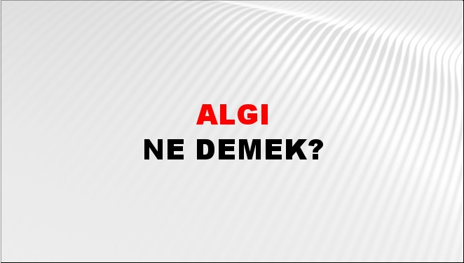 Algı 