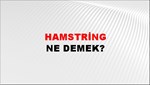 Hamstring 