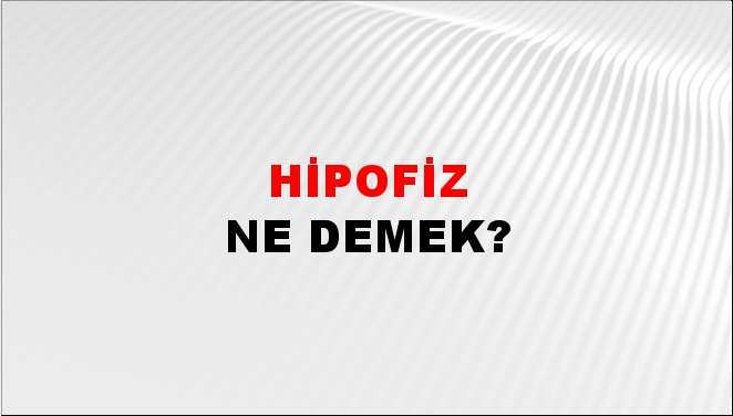 Hipofiz 