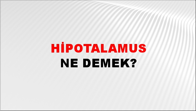 Hipotalamus 