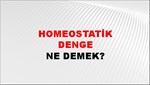 Homeostatik Denge 