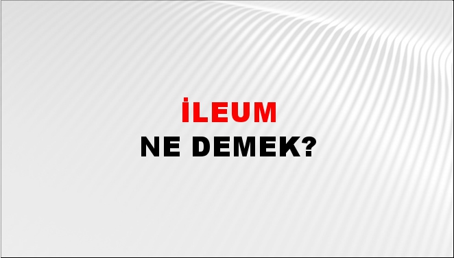 İleum 