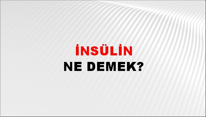 İnsülin 