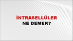 İntrasellüler 