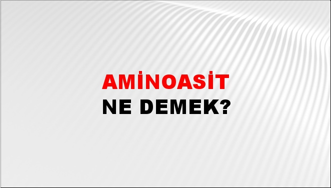 Aminoasit 