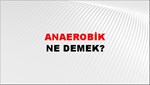 Anaerobik 