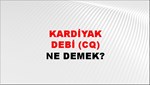 Kardiyak Debi (CQ) 