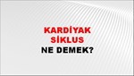 Kardiyak Siklus 