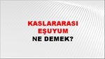 Kaslararası Eşuyum 