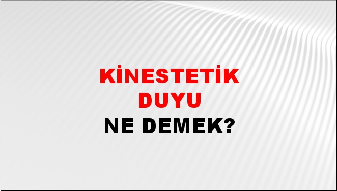 Kinestetik Duyu 