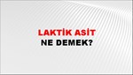 Laktik Asit 