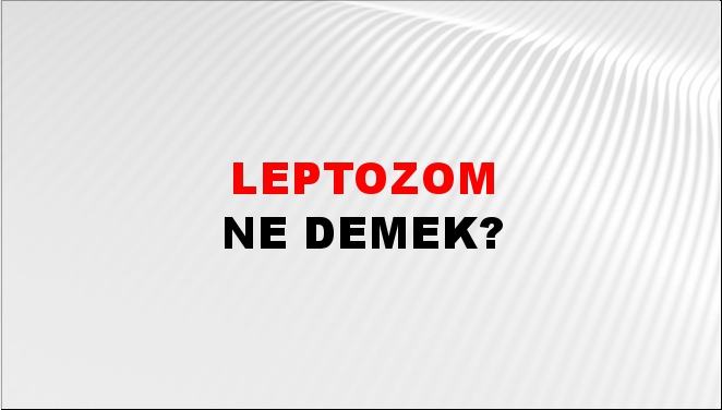 Leptozom 