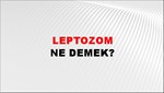 Leptozom 