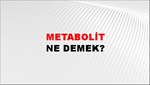 Metabolit 