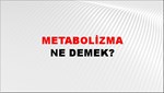 Metabolizma 