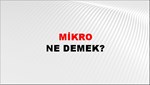 Mikro 