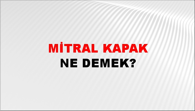 Mitral Kapak 