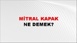 Mitral Kapak 